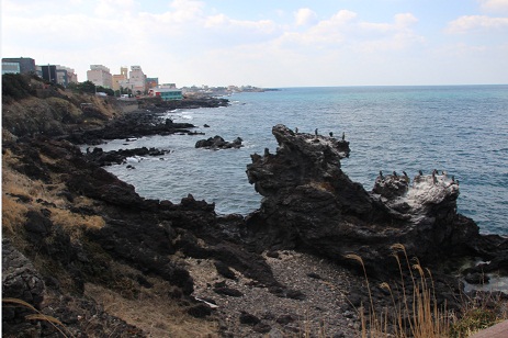 1602753589155896.jpg 2.jpg